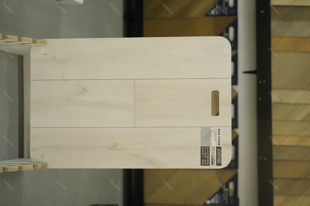 Данте Снежный